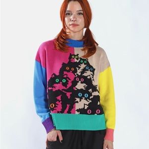 Fabulous color blocked cat sweater with 3D eyes
